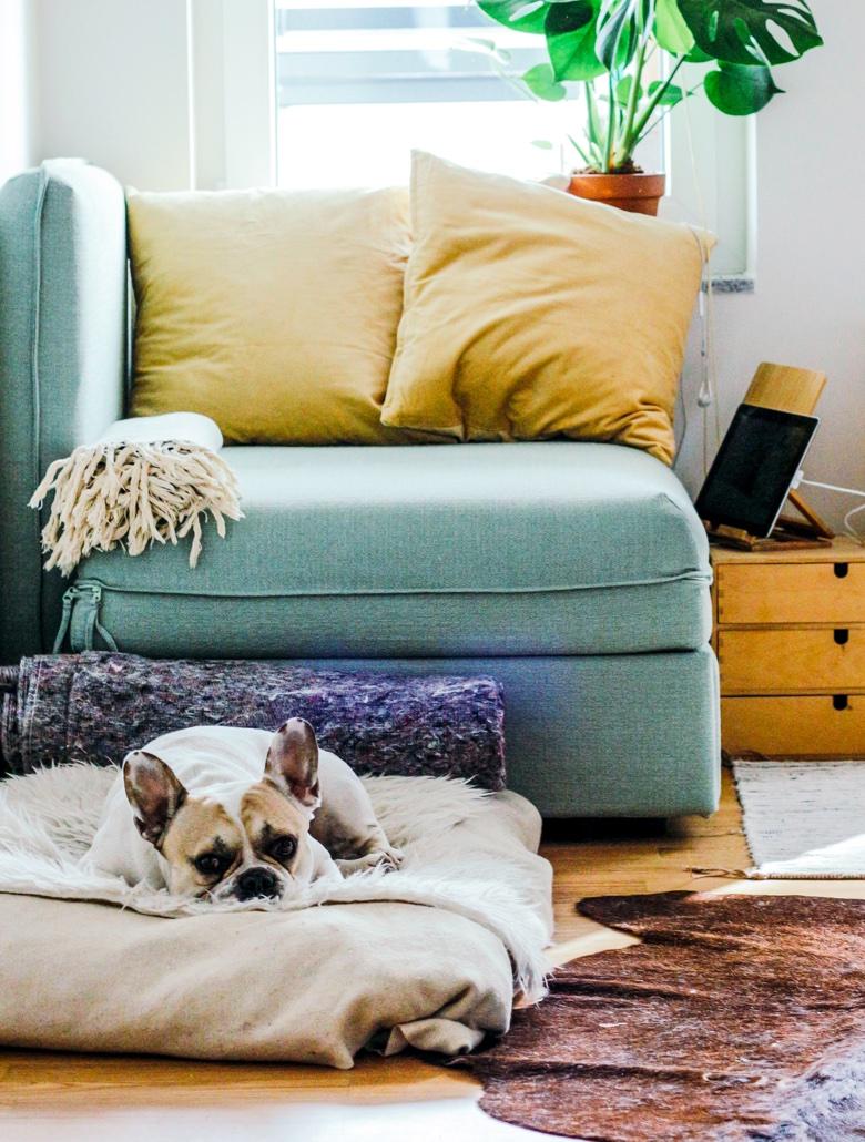 Image for testimonial undefined